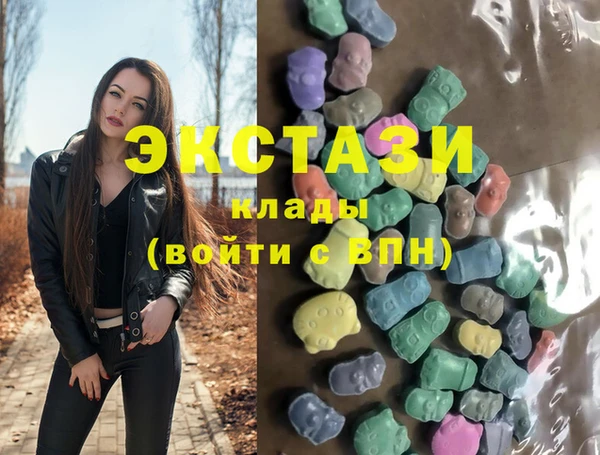 СК Алексин