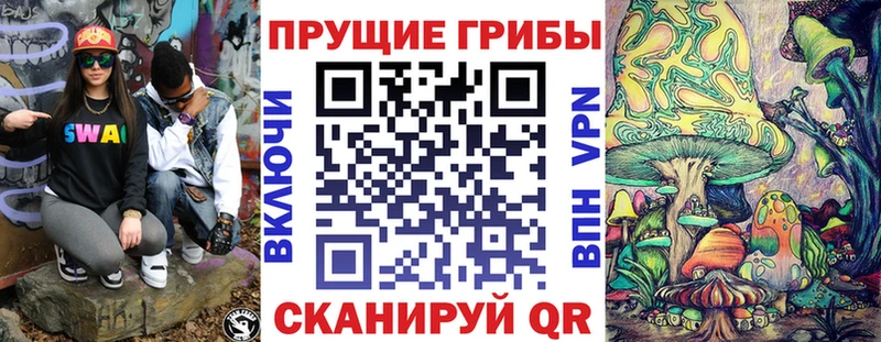Псилоцибиновые грибы Psilocybe  закладка  Коломна 